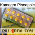 Kamagra Pineapple new11